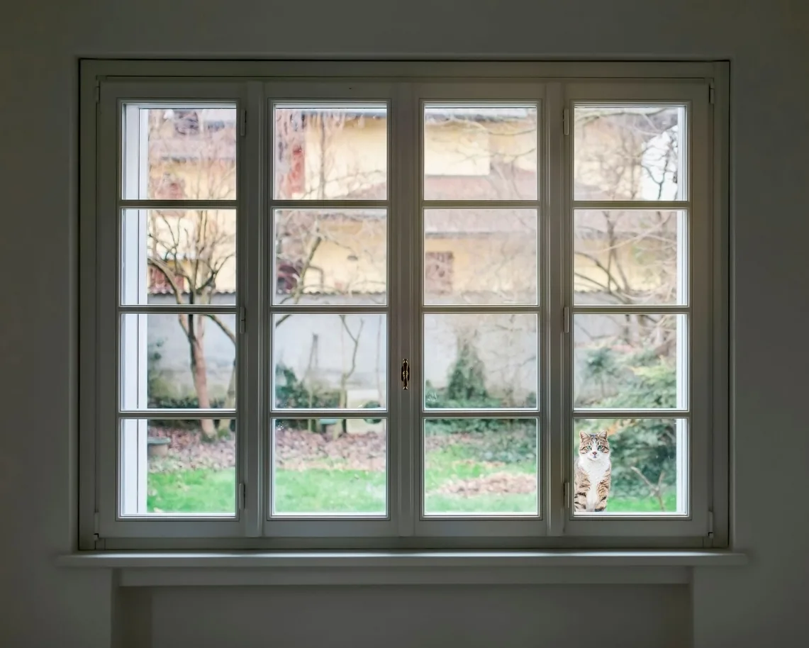 White frame window used to assess glass repair needs